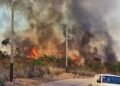 Firefighters stretched as six bushfires rage islandwide