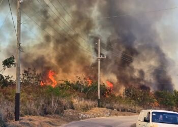Firefighters stretched as six bushfires rage islandwide