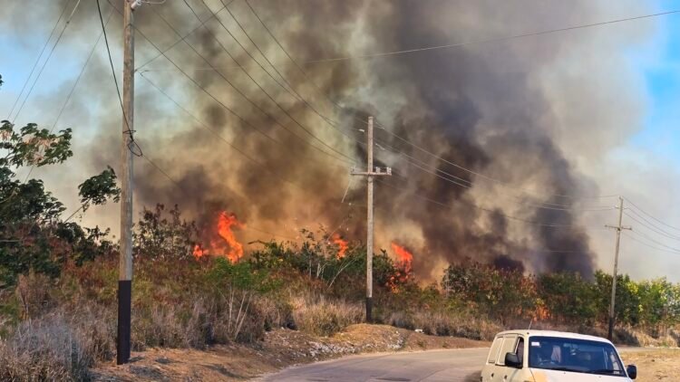 Firefighters stretched as six bushfires rage islandwide