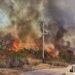 Firefighters stretched as six bushfires rage islandwide