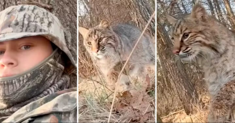 Video captures the moment when a hunter becomes prey and is attacked by a lynx in the United States