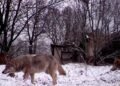 40 years later, is the Chernobyl disaster over?
