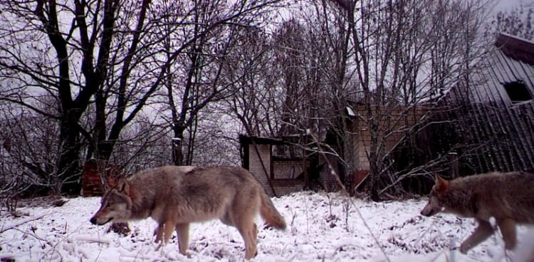 40 years later, is the Chernobyl disaster over?