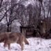 40 years later, is the Chernobyl disaster over?
