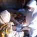 Health sector near-total collapse in Sudan’s Dilling