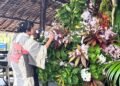 Ikebana Master Koen Yokoi Showcases Art of Nature at Palau Visitors Authority Green Fair, Strengthening Japan–Palau Ties