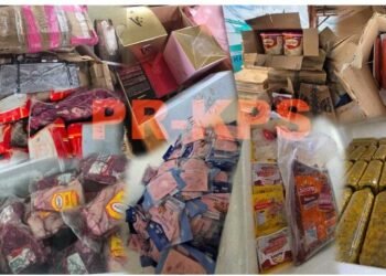 Ten suspects arrested for illegal loading of goods in Meerzorg – de Ware Tijd