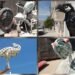 Al-Sabah News newspaper – The Grand Castle.. A blacksmith turns “Vray” into artistic masterpieces