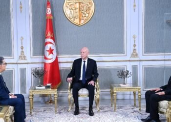 Al-Sabah News newspaper – The President of the Republic: Managing state affairs cannot be based on suspicious blogs or pages or on promoting lies.