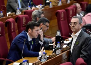 Project to criminalize “false reporting” raises doubts due to possible over-legislation and ambiguity – Politics