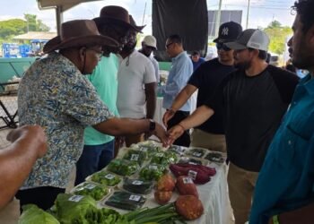 Mustapha urges stronger collaboration to transform Caribbean agriculture