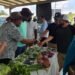 Mustapha urges stronger collaboration to transform Caribbean agriculture