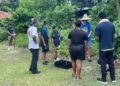 Ngerbeched Youth Plant Fruit Trees in Earth Week Collaboration, Boosting Community Resilience