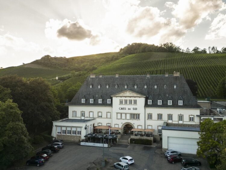 Tageblatt.lu | Domaines Vinsmoselle | Proufdag in the Caves du Sud in Remerschen