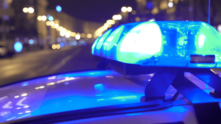 TTPS searching Matelot forest for beheading victim