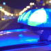 TTPS searching Matelot forest for beheading victim