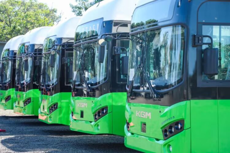 Transportation modernization: they plan to renew 1,000 buses by 2028 – National
