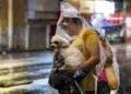 Rains and possible hail fall put 10 CDMX municipalities on alert this May 3