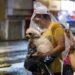 Rains and possible hail fall put 10 CDMX municipalities on alert this May 3