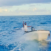 Fishing trip takes turn after boat’s discovery