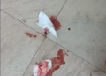 VIDEO: Man Discovers Mysterious Trail of Blood Outside Public Library