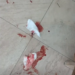 VIDEO: Man Discovers Mysterious Trail of Blood Outside Public Library
