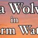 LIVE on DNO from 6PM: Book launching of Sea Wolves in Warm Waters by Clement Richards