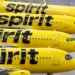 Spirit Airlines bankruptcy makes tickets more expensive and hits Nicaraguan air connectivity
