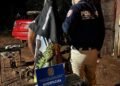 “Allies for Childhood VI”: they dismantle a network of child sexual exploitation – Police