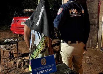 “Allies for Childhood VI”: they dismantle a network of child sexual exploitation – Police