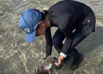 Tourists told not to remove coral from Cambodian waters