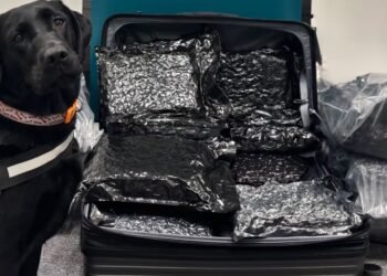 Revenue seizes more than €3.1m worth of herbal cannabis at Dublin Airport – The Irish Times