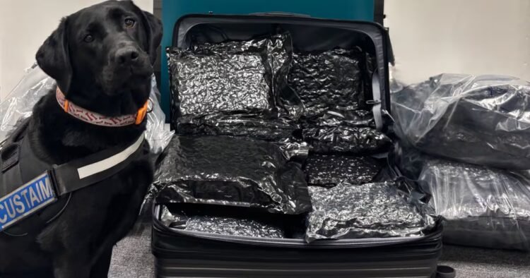 Revenue seizes more than €3.1m worth of herbal cannabis at Dublin Airport – The Irish Times