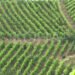 The Ministry of Agriculture publishes the anticipated subsidies for each sector