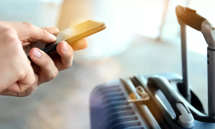 The holidays are here: which destinations are the most popular this year?