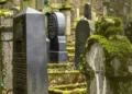 As in the crime series: a piece of moss helped reveal the grave robbers