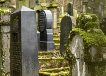 As in the crime series: a piece of moss helped reveal the grave robbers