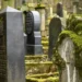 As in the crime series: a piece of moss helped reveal the grave robbers