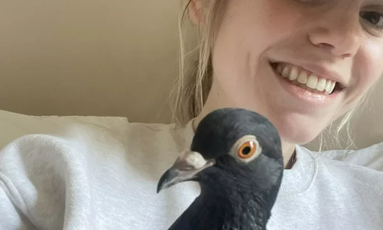 A New Yorker with a dove in her purse inspires millions