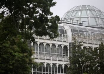 Stephen’s Green Shopping Centre €100m revamp erases building’s character