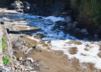 Machángara Unites Us, a project that fights to save the polluted river of Quito | Ecuador | News