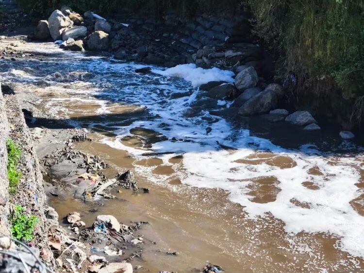 Machángara Unites Us, a project that fights to save the polluted river of Quito | Ecuador | News