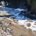 Machángara Unites Us, a project that fights to save the polluted river of Quito | Ecuador | News