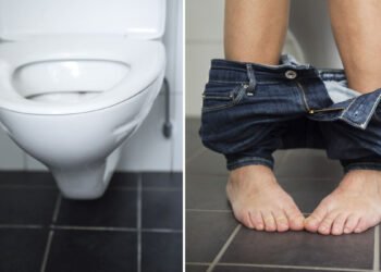 Malmö residents urged to flush less as major sewage pipe is repaired