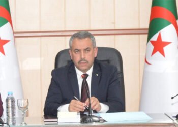 A comprehensive package of procedures to modernize educational programs – Al-Shorouk Online