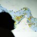 Bahrain and Panama analyze security in the Strait of Hormuz and maritime trade
