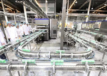 Ho Chi Minh City serves as fertile ground for businesses to rise