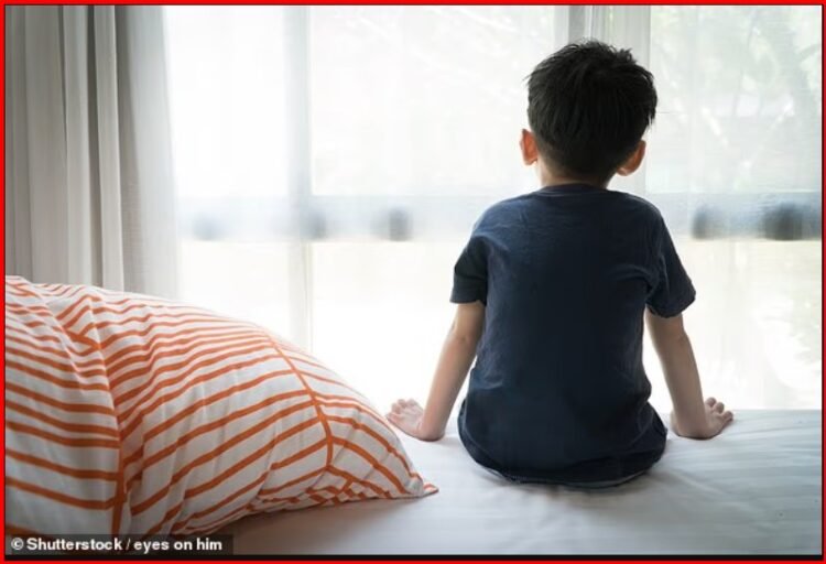 Brain simulation – new treatment gives hope for children with autism