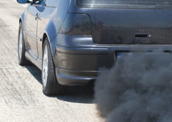 The Seimas canceled the right of environmentalists to check car pollution | Business