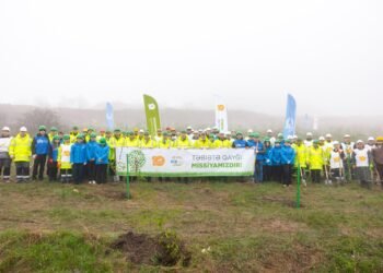 Series of tree-planting campaigns held in Dashkasan district (PHOTO)